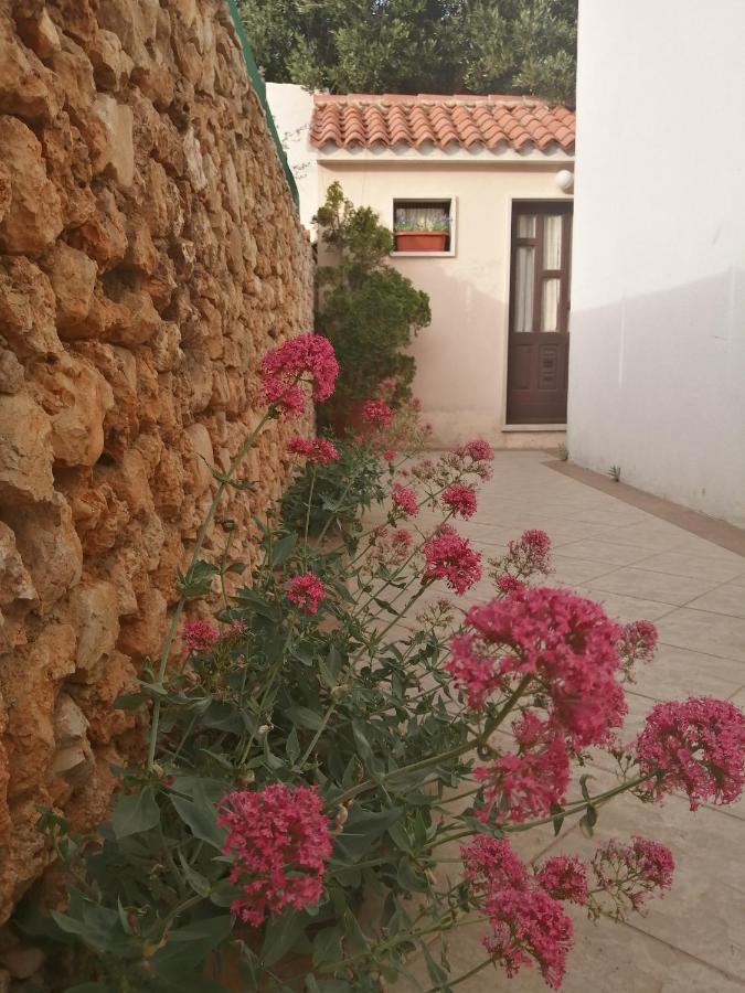 Apartments Borovina بول المظهر الخارجي الصورة